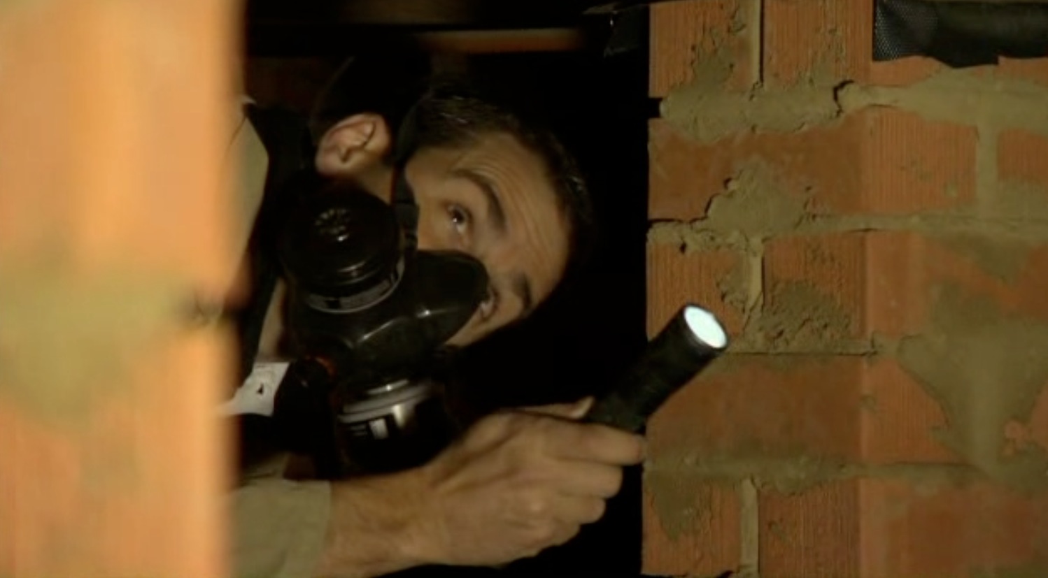 building and pest inspections Gold Coast