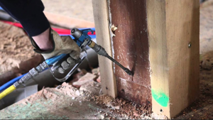 termite treatments broad beach waters