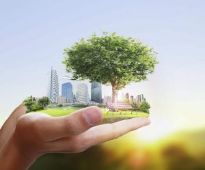 property investment in Australia