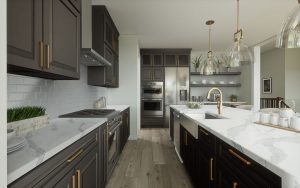 Home Kitchen Design