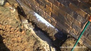 Cost Of Termite Protection