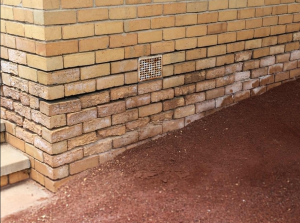 rising dampness Sydney