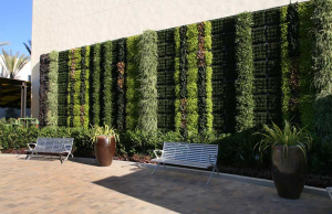 green walls