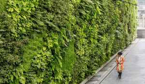 green walls