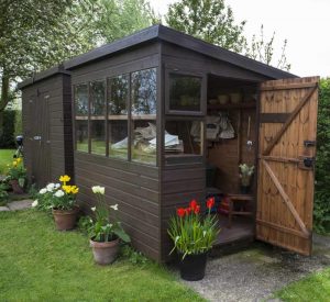 shed window replacement