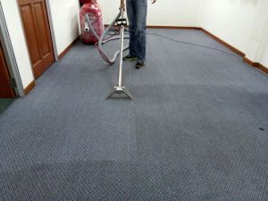 pest control Banora Point
