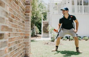 pest control Banora Point