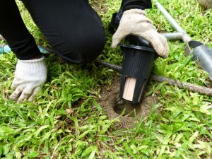 termite baiting systems Kingscliff