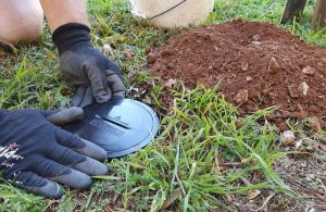 termite baiting systems Kingscliff