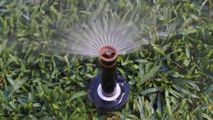 rain bird sprinkler heads