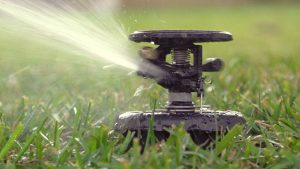 rain bird sprinkler heads