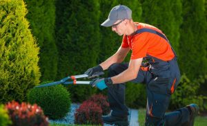 landscaping services