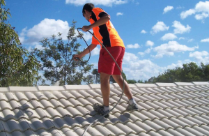 Roof painters