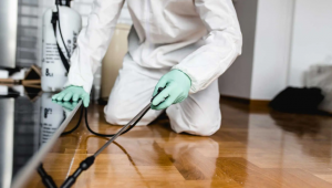 Commercial pest control