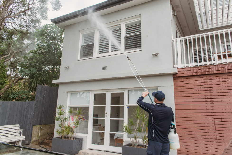 Exterior house cleaning in Tauranga