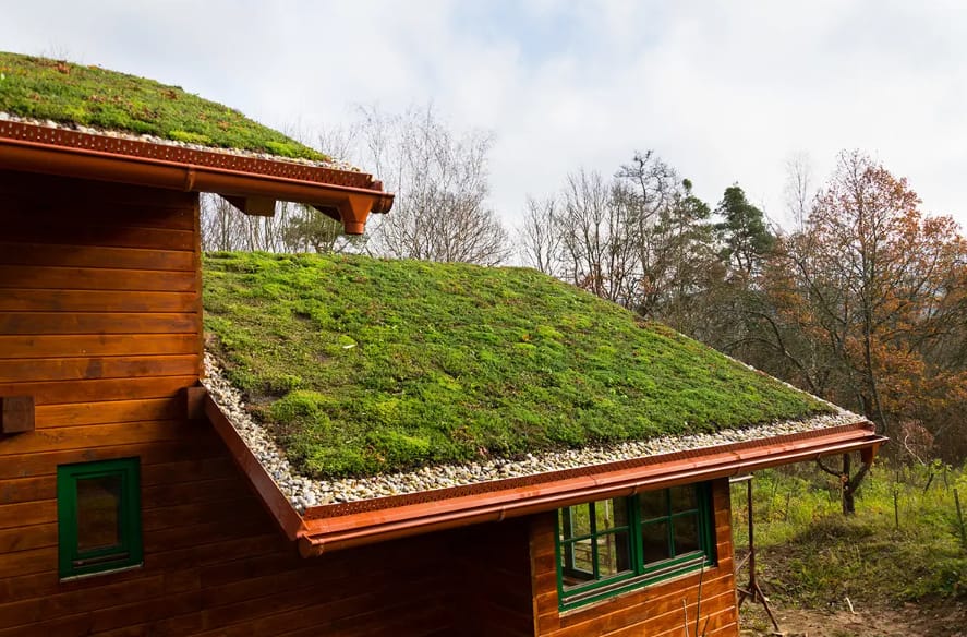 green roof in Australia