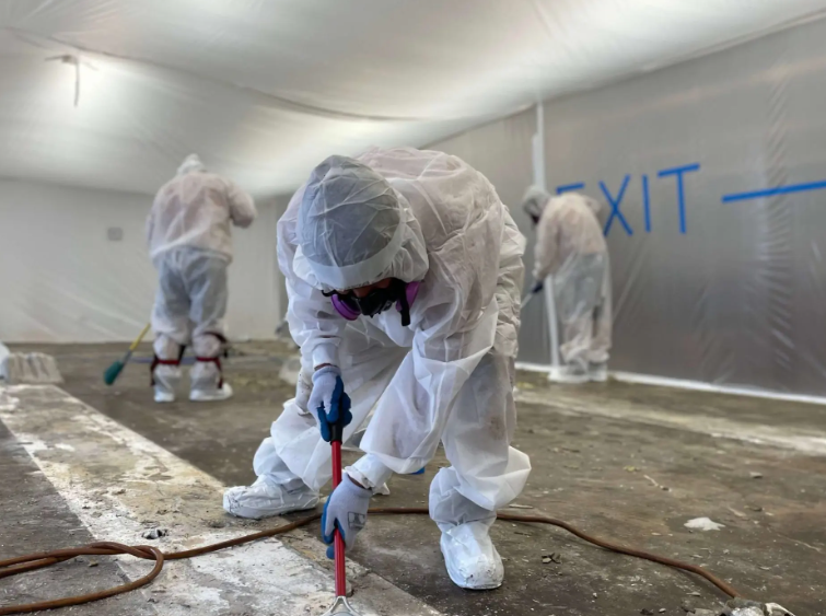 asbestos removal expert