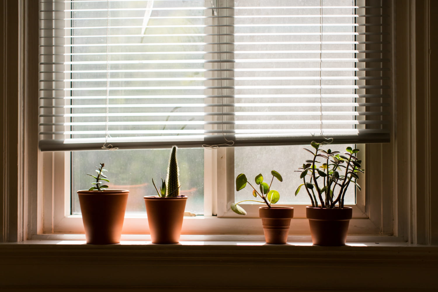 Indoor shutters